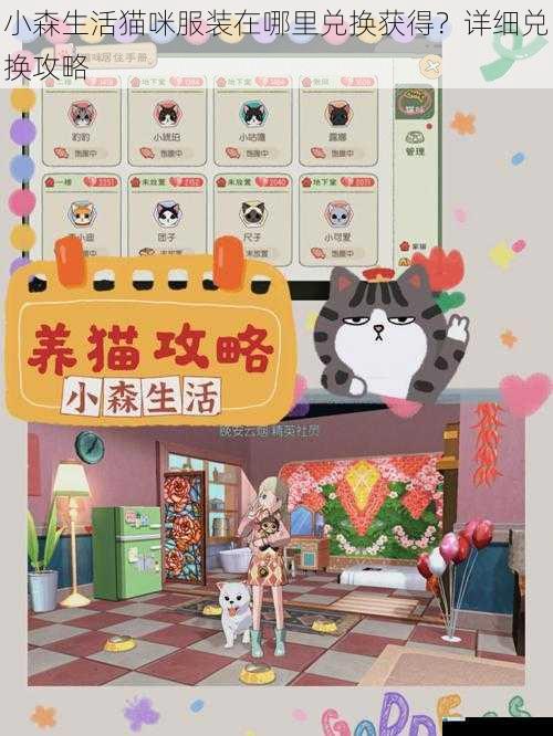 小森生活猫咪服装在哪里兑换获得?详细兑换攻略