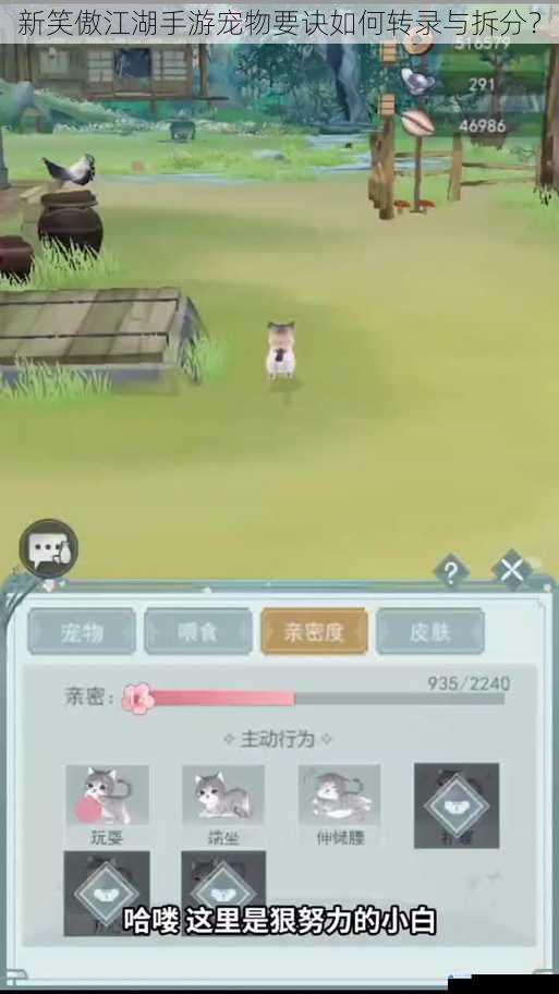 新笑傲江湖手游宠物要诀如何转录与拆分?