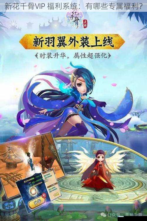 新花千骨VIP 福利系统:有哪些专属福利?