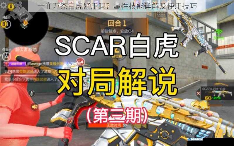 一血万杰白虎好用吗?属性技能详解及使用技巧
