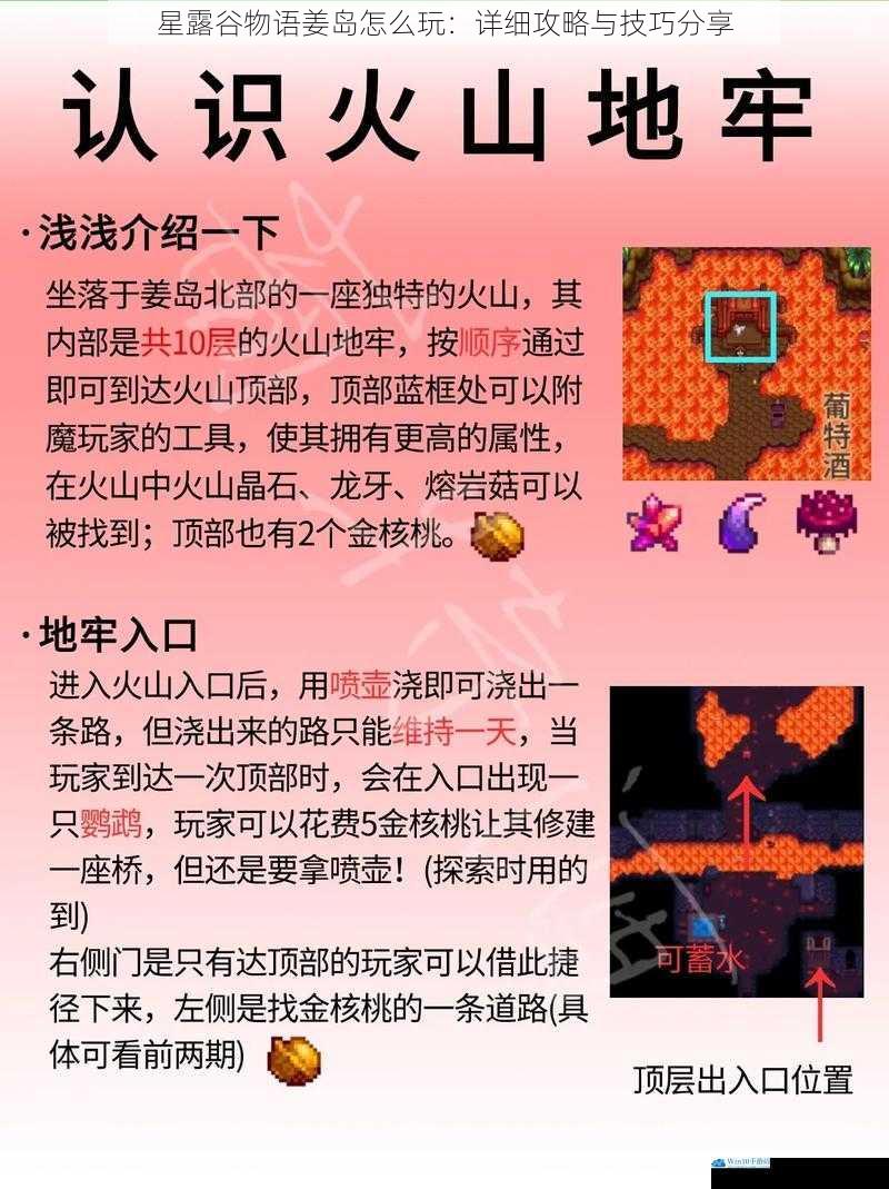 星露谷物语姜岛怎么玩:详细攻略与技巧分享