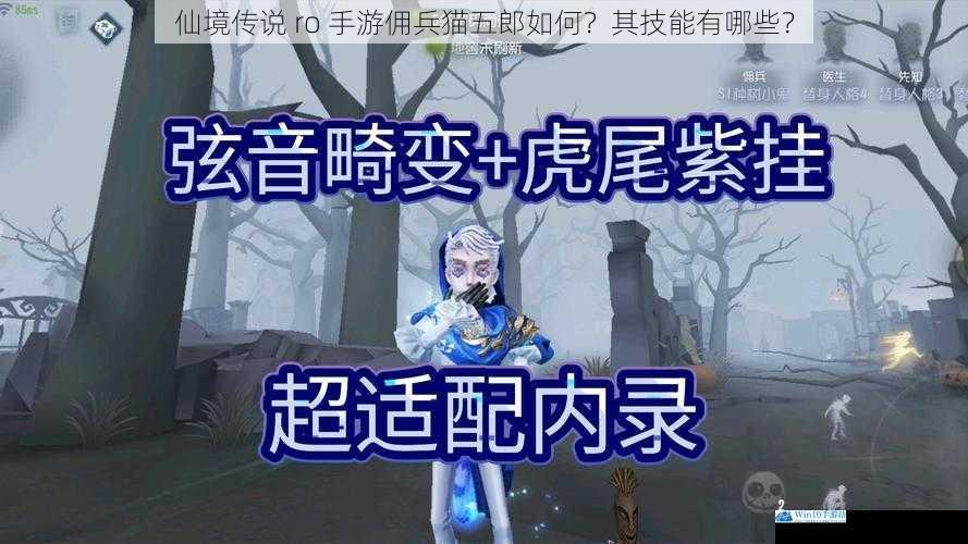 仙境传说 ro 手游佣兵猫五郎如何?其技能有哪些?