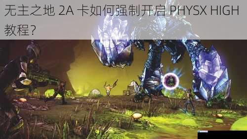 无主之地 2A 卡如何强制开启 PHYSX HIGH 教程?