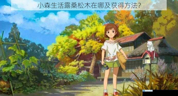 小森生活露桑松木在哪及获得方法?