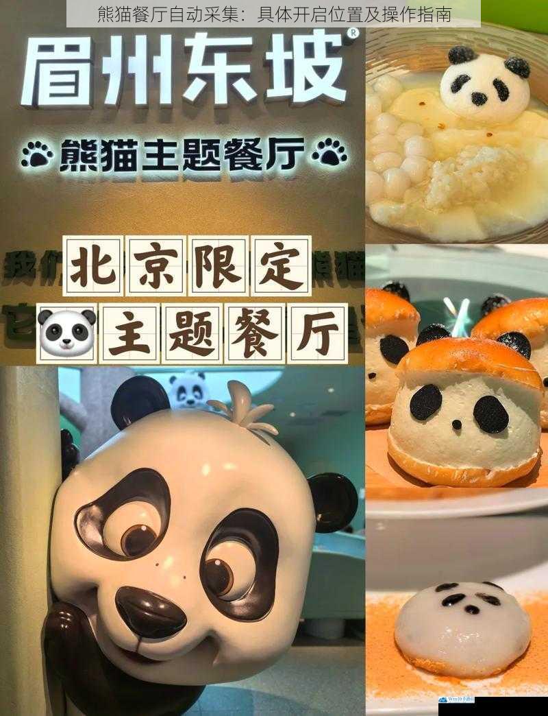 熊猫餐厅自动采集:具体开启位置及操作指南