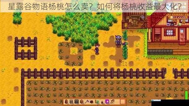 星露谷物语杨桃怎么卖?如何将杨桃收益最大化?