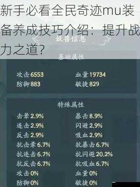 新手必看全民奇迹 mu装备养成技巧介绍:提升战力之道?