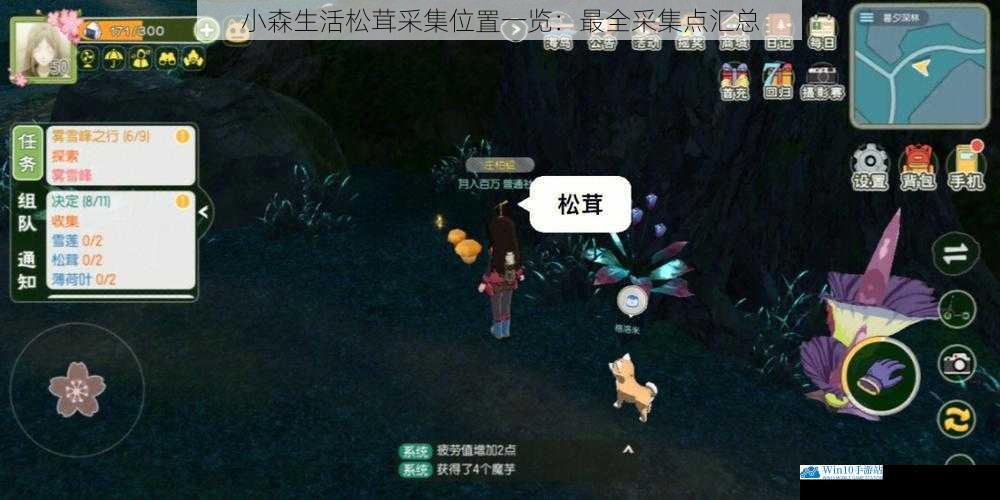 小森生活松茸采集位置一览:最全采集点汇总