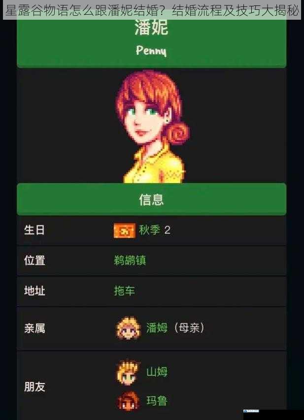 星露谷物语怎么跟潘妮结婚?结婚流程及技巧大揭秘