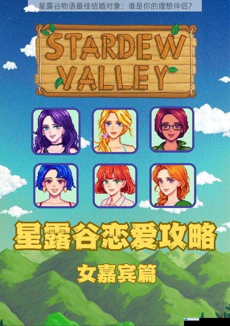 星露谷物语最佳结婚对象:谁是你的理想伴侣?