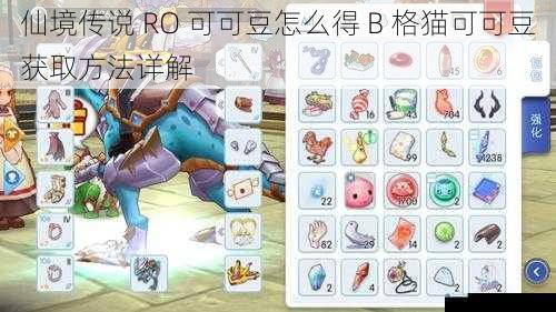仙境传说 RO 可可豆怎么得 B 格猫可可豆获取方法详解