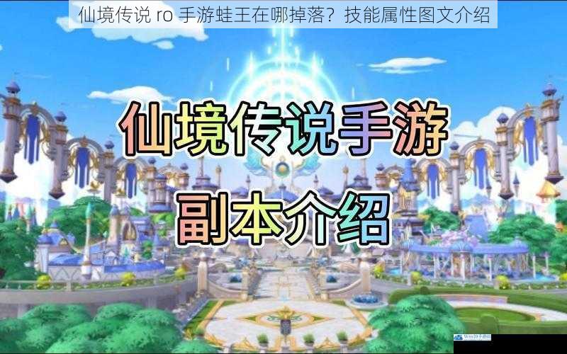 仙境传说 ro 手游蛙王在哪掉落?技能属性图文介绍