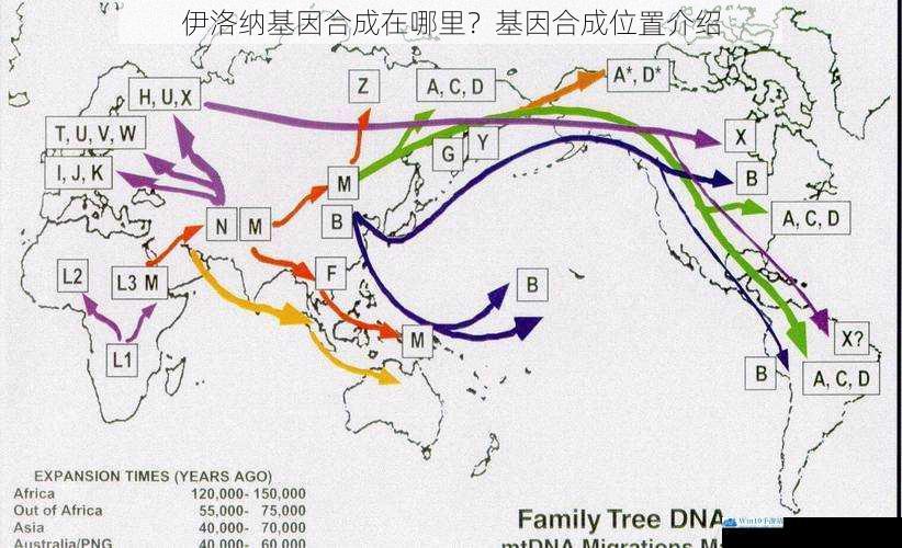 伊洛纳基因合成在哪里?基因合成位置介绍