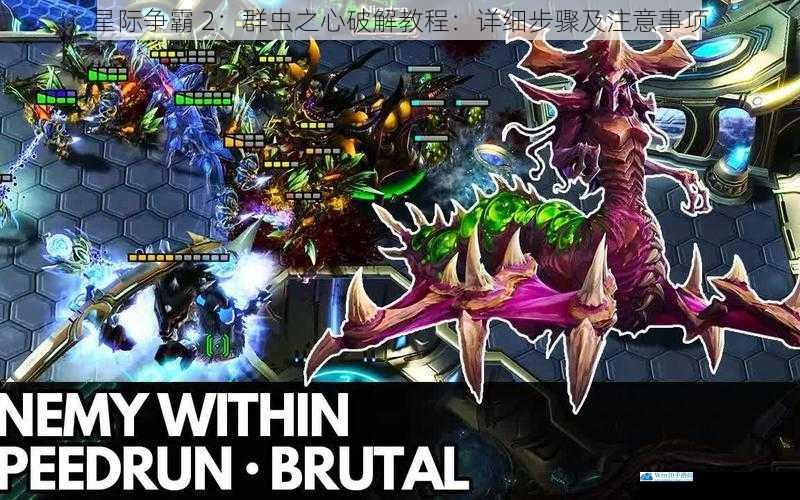 星际争霸 2:群虫之心破解教程:详细步骤及注意事项