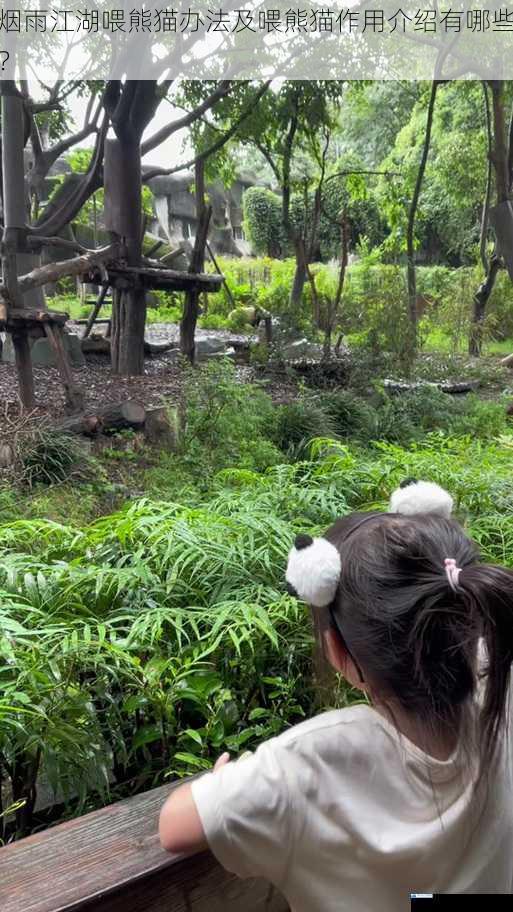 烟雨江湖喂熊猫办法及喂熊猫作用介绍有哪些?