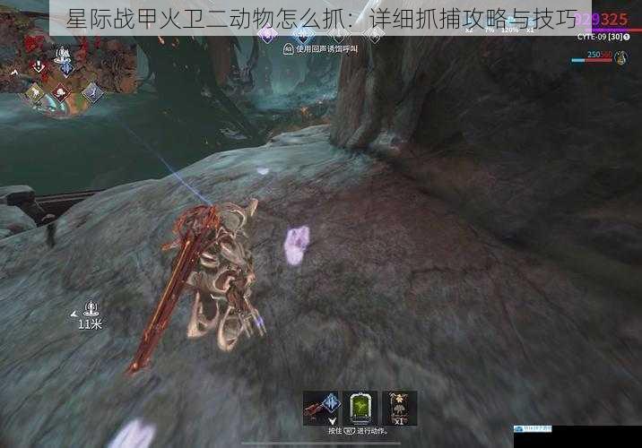 星际战甲火卫二动物怎么抓:详细抓捕攻略与技巧