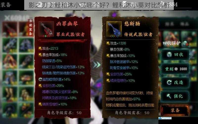 影之刃 2 鲤和沐小葵哪个好?鲤和沐小葵对比解析