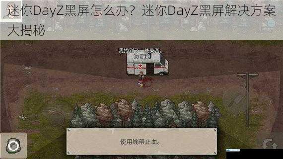 迷你 DayZ 黑屏怎么办?迷你 DayZ 黑屏解决方案大揭秘