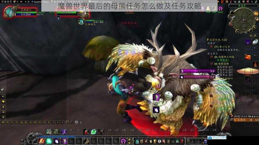 魔兽世界最后的母熊任务怎么做及任务攻略