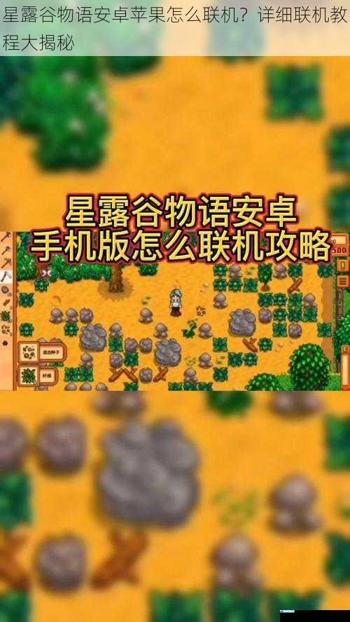 星露谷物语安卓苹果怎么联机?详细联机教程大揭秘