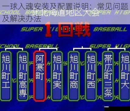 一球入魂安装及配置说明:常见问题及解决办法