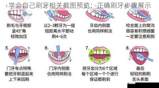 学会自己刷牙相关截图预览:正确刷牙步骤展示