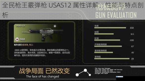 全民枪王霰弹枪 USAS12 属性详解:性能与特点剖析