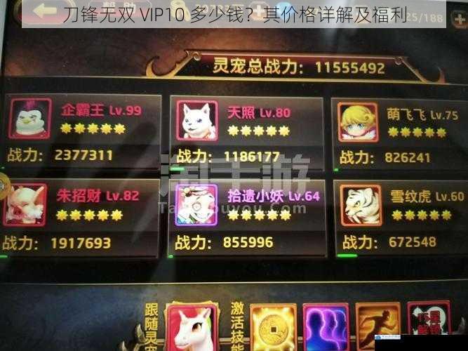 刀锋无双 VIP10 多少钱?其价格详解及福利