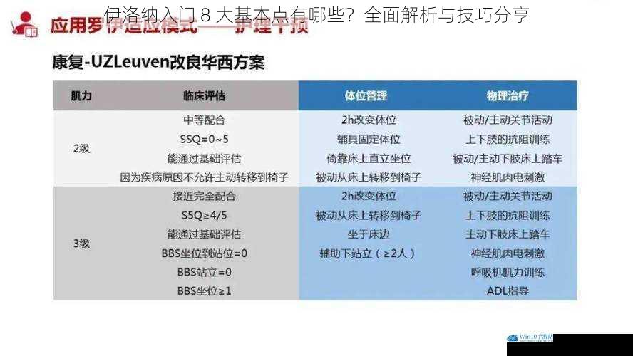 伊洛纳入门 8 大基本点有哪些?全面解析与技巧分享