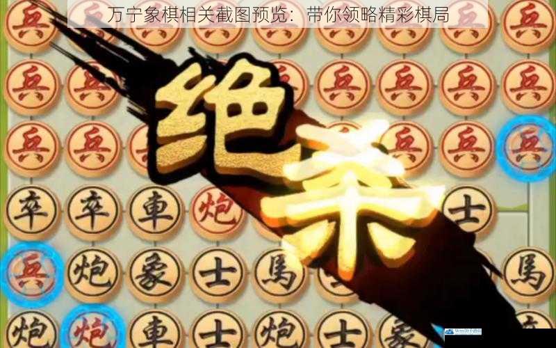 万宁象棋相关截图预览:带你领略精彩棋局
