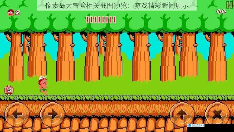 像素岛大冒险相关截图预览:游戏精彩瞬间展示