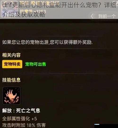 dnf 更新后心愿礼盒能开出什么宠物?详细介绍及获取攻略