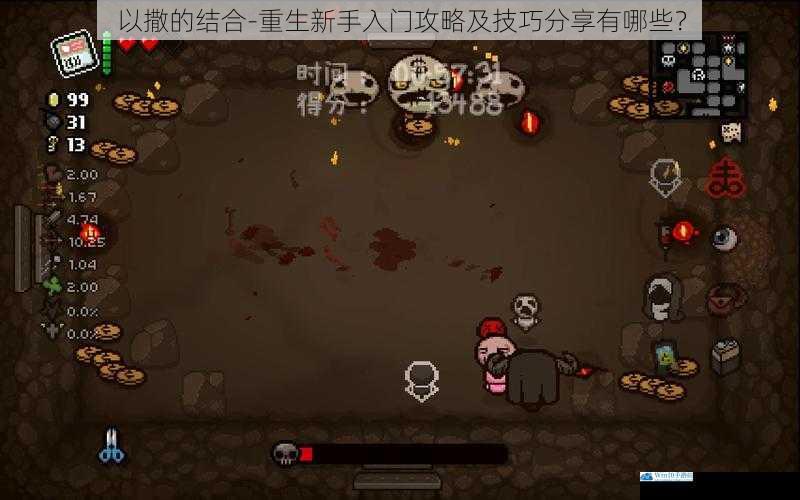以撒的结合 - 重生新手入门攻略及技巧分享有哪些?