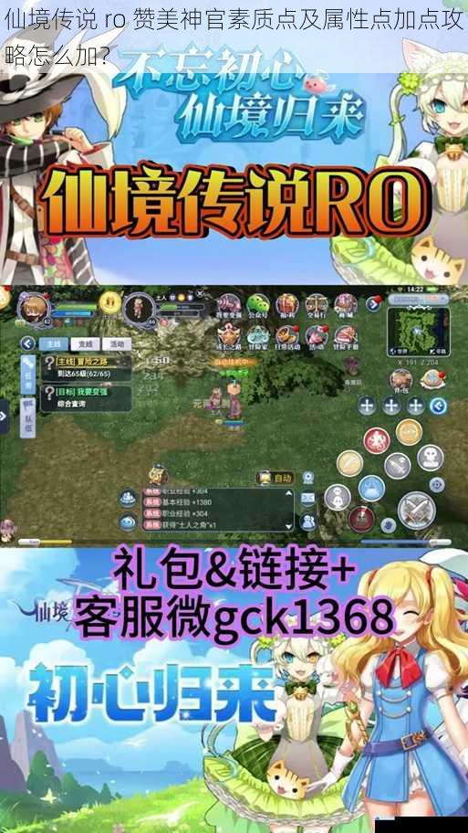 仙境传说 ro 赞美神官素质点及属性点加点攻略怎么加?