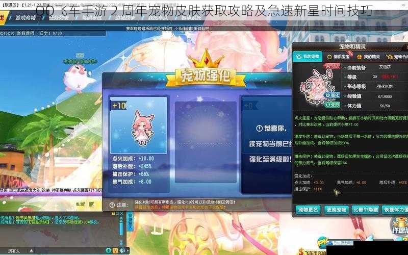 QQ 飞车手游 2 周年宠物皮肤获取攻略及急速新星时间技巧