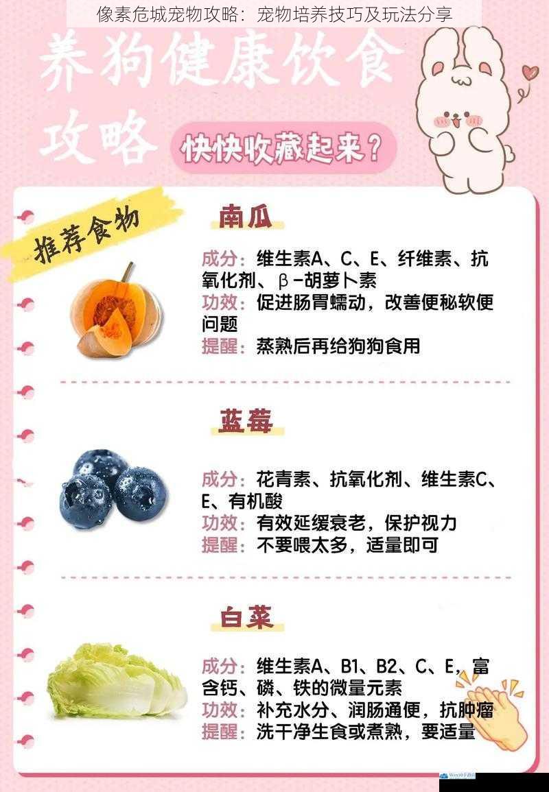 像素危城宠物攻略:宠物培养技巧及玩法分享
