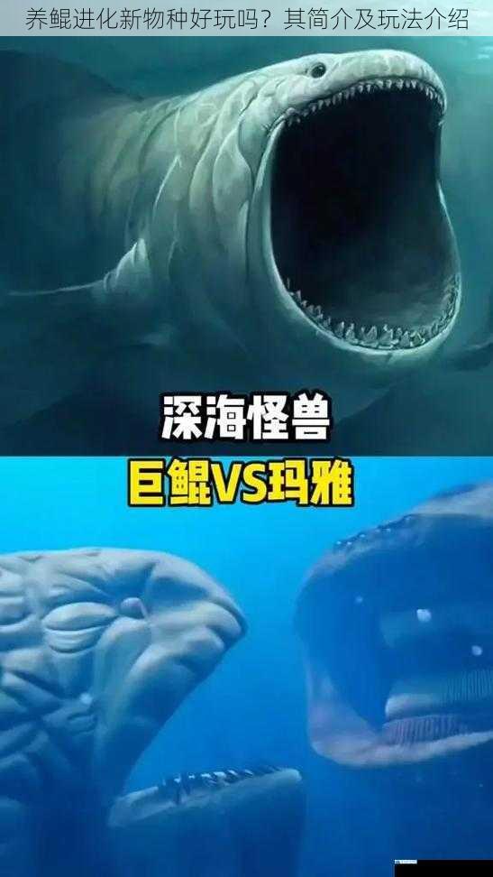 养鲲进化新物种好玩吗?其简介及玩法介绍