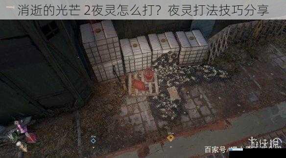 消逝的光芒 2夜灵怎么打?夜灵打法技巧分享