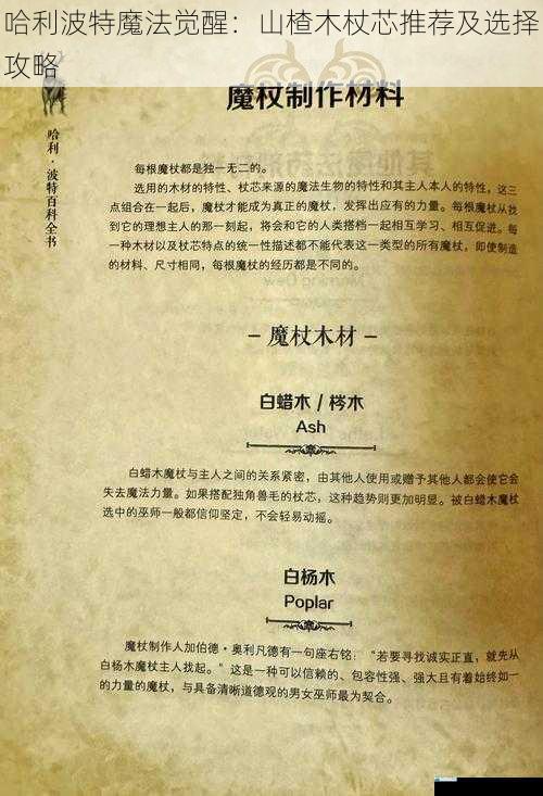 哈利波特魔法觉醒:山楂木杖芯推荐及选择攻略