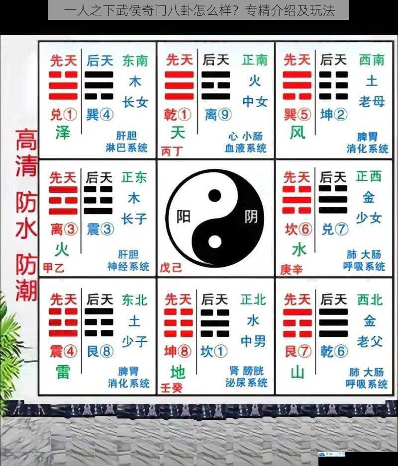 一人之下武侯奇门八卦怎么样?专精介绍及玩法