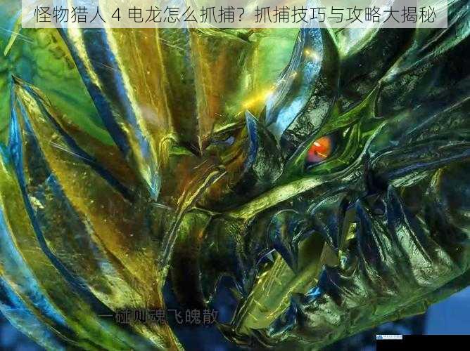 怪物猎人 4 电龙怎么抓捕?抓捕技巧与攻略大揭秘