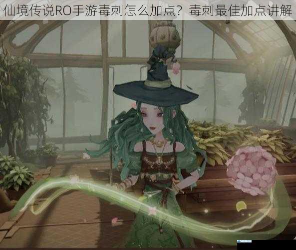 仙境传说 RO 手游毒刺怎么加点?毒刺最佳加点讲解