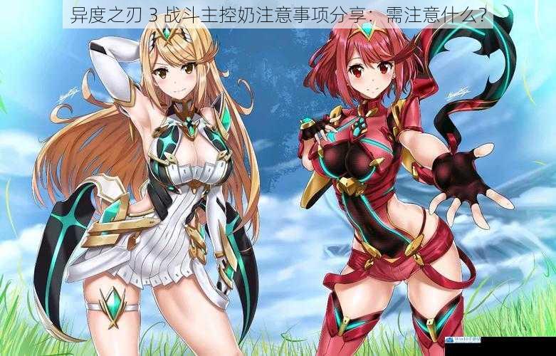 异度之刃 3 战斗主控奶注意事项分享:需注意什么?