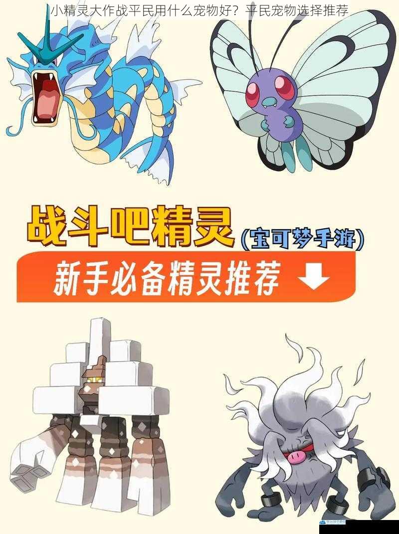 小精灵大作战平民用什么宠物好?平民宠物选择推荐