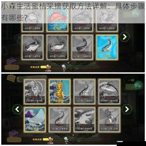 小森生活蜜桔采摘获取方法详解:具体步骤有哪些?
