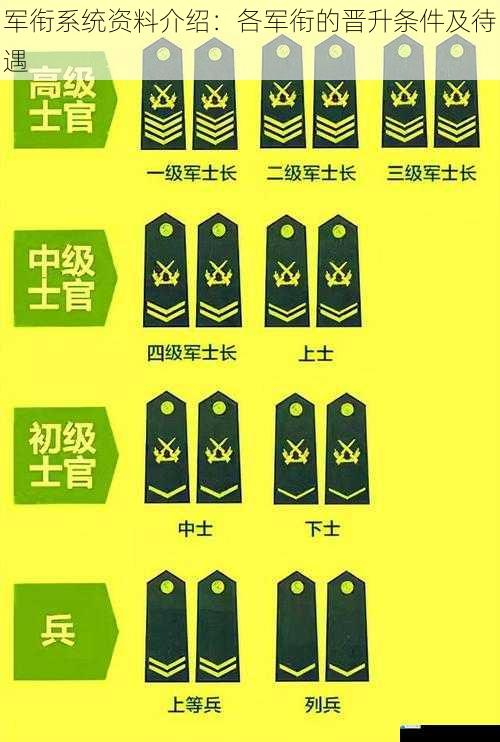 军衔系统资料介绍:各军衔的晋升条件及待遇