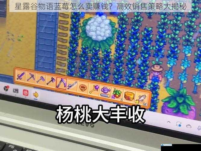 星露谷物语蓝莓怎么卖赚钱?高效销售策略大揭秘