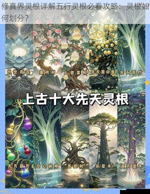 修真界灵根详解五行灵根必看攻略:灵根如何划分?