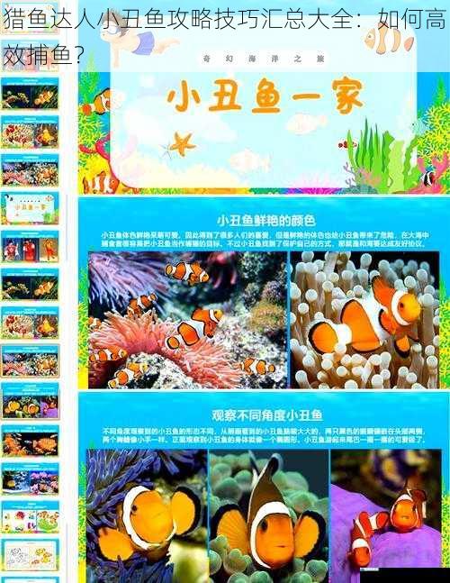 猎鱼达人小丑鱼攻略技巧汇总大全:如何高效捕鱼?
