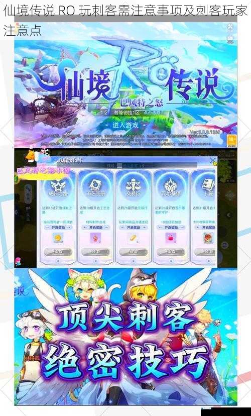 仙境传说 RO 玩刺客需注意事项及刺客玩家注意点